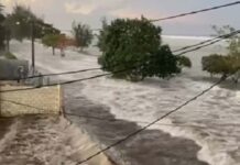 Alertas de tsunami en EEUU y Japón y evacuación en la costa de Chile por un volcán submarino