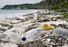Basura plástica: de las 300 millones de toneladas que se producen cada año solo el 10% es reciclada