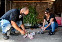 Cocaína envenenada: hay al menos 20 muertos, 74 internados y siguen llegando víctimas a hospitales