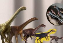 Hallan a un ‘tatarabuelo’ de los dinosaurios gigantes del Jurásico que vivió en Sudamérica hace 230 millones de años