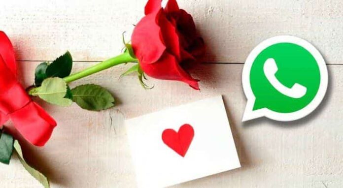 whatsapp-amor-min
