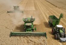 La ONU advierte que el conflicto entre Rusia y Ucrania podría desencadenar una crisis alimentaria a nivel mundial