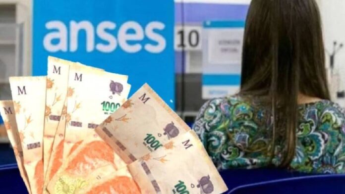 dinero-billetes-anses-03