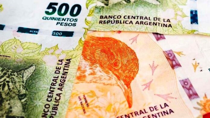 dinero-billetes-anses-05-min - copia