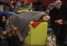 Crisis humanitaria: más de 1,5 millones de personas huyeron de Ucrania