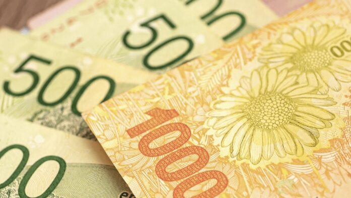 dinero-billetes-anses-004-min