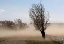 Alerta amarilla por viento zonda para cuatro provincias