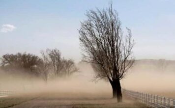El SMN lanzó una alerta por ráfagas de hasta 100 km/h y estas zonas de Jujuy estarán afectadas