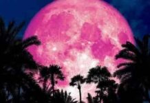 Superluna de Fresa: dónde y a qué hora se podrá disfrutar desde Argentina