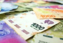 ANSES | El Gobierno paga hasta $ 25.000 antes de que termine julio: ¿quiénes lo cobran?