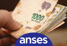 Monotributistas y trabajadores en blanco cobran $59.058 en Anses