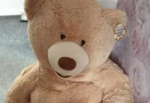Robó un auto y se escondió en un peluche gigante para que la Policía no lo encuentre