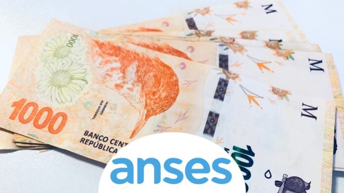 billetes-dinero-anses_009-min