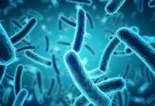 Muertes en Tucumán: la bacteria Legionella causó el brote de neumonía bilateral