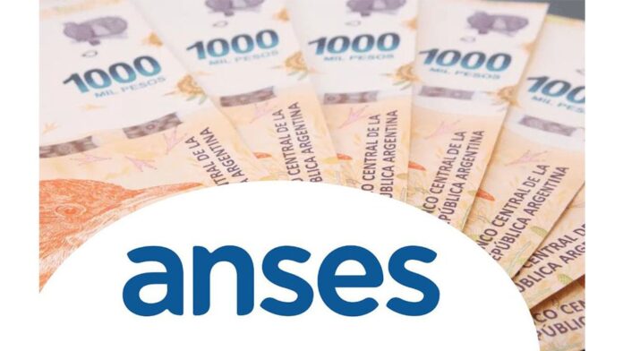 billetes-dinero-anses_10-min