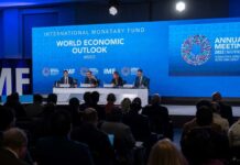 El FMI prevé que la economía argentina será una de las que más crecerá en 2023