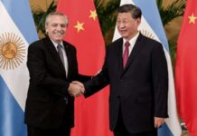 Alberto Fernández y Xi Jinping mantuvieron una bilateral