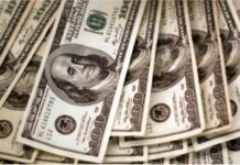 Desde el lunes arranca el dólar soja II: cotizará a $230 y estará vigente hasta fin de año