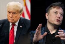 Donald Trump volvió a Twitter: Elon Musk le devolvió la cuenta