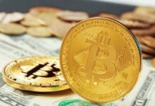 Bitcoin anota un nuevo máximo en 9 meses y criptomonedas se disparan hasta 10%