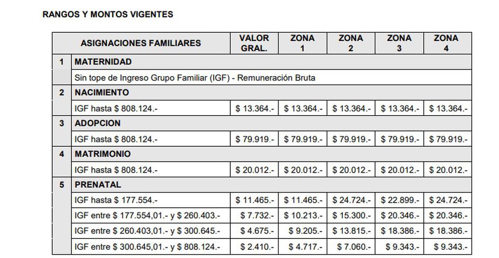 Asignaciones de Pago Único: montos en mayo de 2023 / Anses