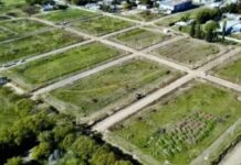 Terrenos gratis del gobierno: cómo anotarse para acceder a un lote para tener tu casa