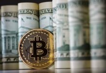 Argentina lidera la compra y tenencia de dólar cripto en la región