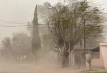 Lanzan alerta amarilla para todo Jujuy por fuertes ráfagas de viento: qué dice el pronóstico