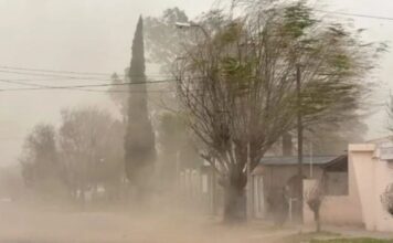Alerta amarilla en Jujuy por fuertes vientos: qué zonas serán afectadas