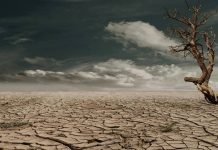 NASA advierte que estas zonas de la Tierra serán inhabitables muy pronto