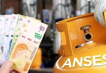 ANSES: novedades de agosto y requisitos para acceder al Programa Hogar