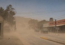 Emitieron una alerta amarilla por fuertes vientos en Jujuy y estas serán las zonas afectadas